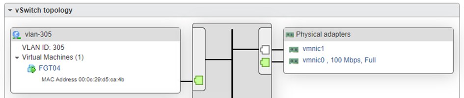 vlan vmnic fullduplex