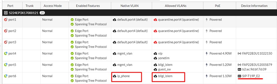 native vlan allowed vlan